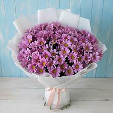 Букет цветов из:  Хризантемы в Зеленый Городок