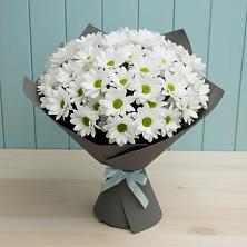 Букет цветов из:  Хризантемы в Зеленый Городок