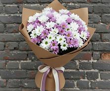 Букет цветов из:  Хризантемы в Зеленый Городок