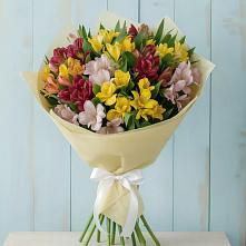 Букет цветов из:  Альстромерии в Зеленый Городок