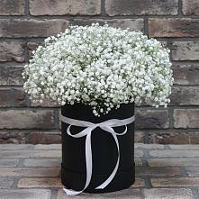 Цветочная композиция из Гипсофила в шляпной коробке в Зеленый Городок