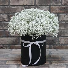 Цветочная композиция из Гипсофила в шляпной коробке в Зеленый Городок