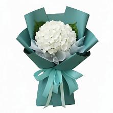 Букет цветов из:  Гортензия в Зеленый Городок
